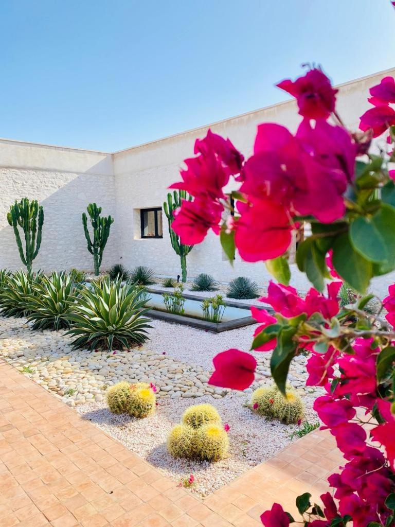 Le Clos De La Roussiere As-Sawíra Exteriér fotografie