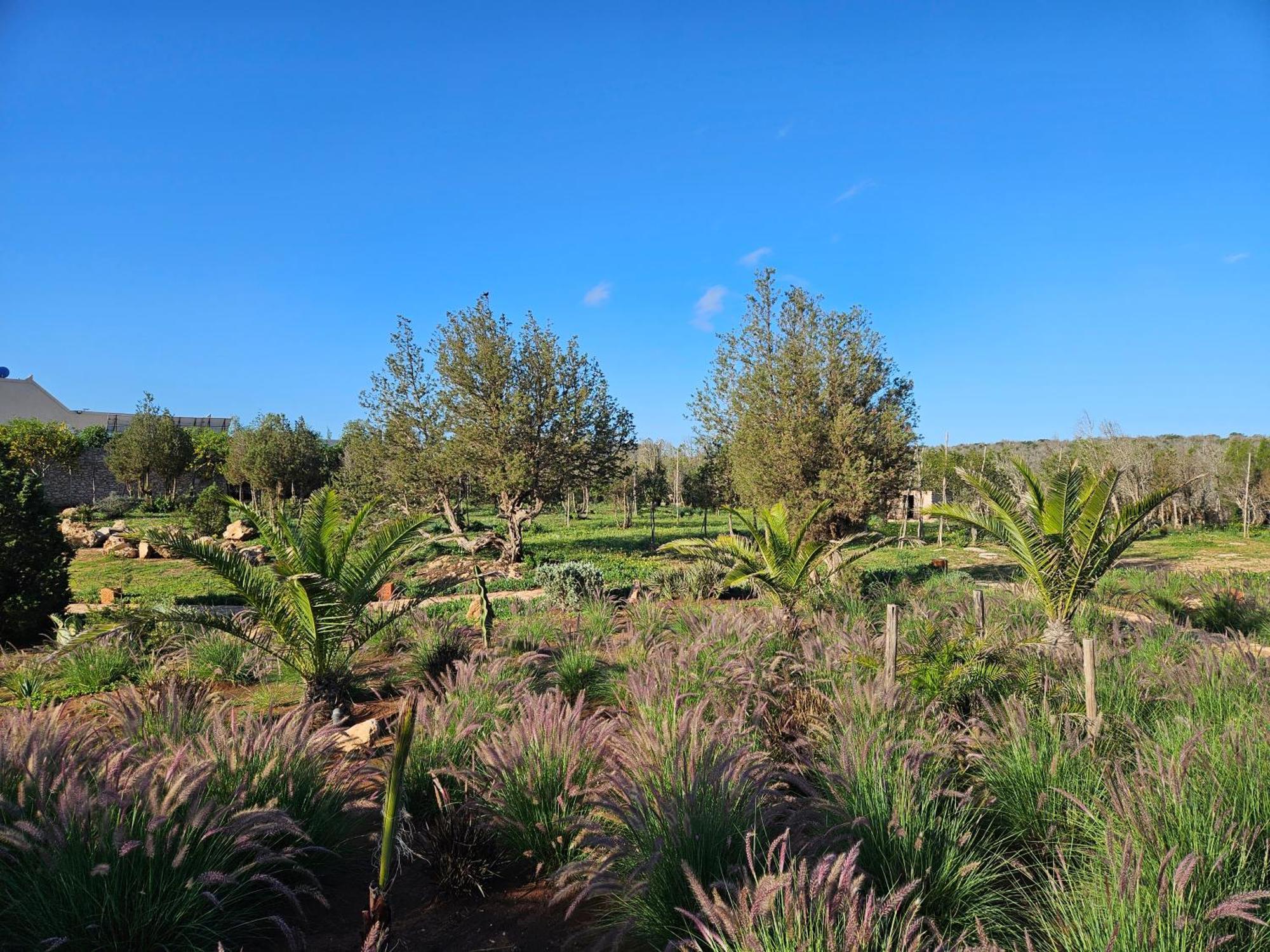 Le Clos De La Roussiere As-Sawíra Exteriér fotografie