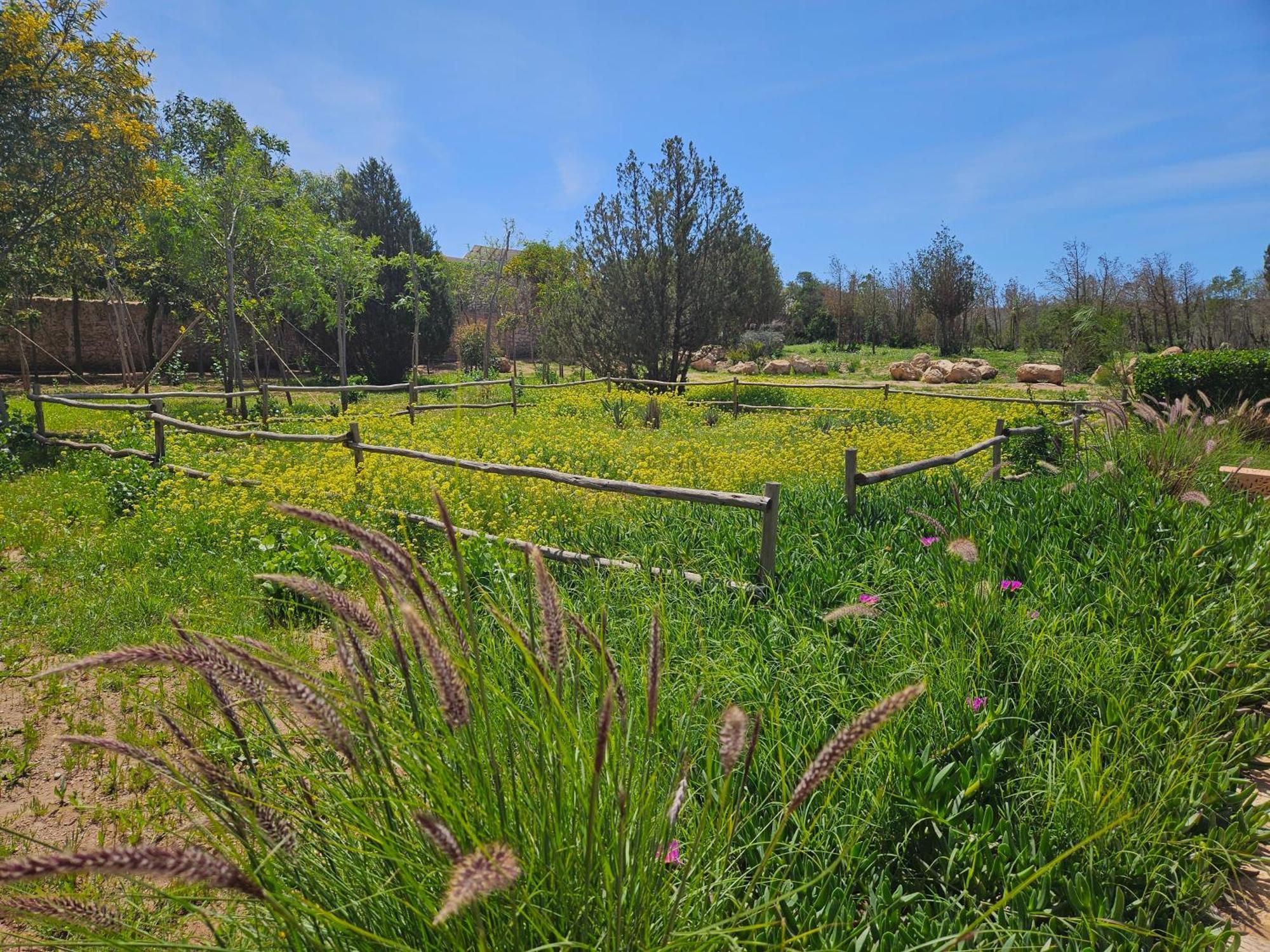 Le Clos De La Roussiere As-Sawíra Exteriér fotografie